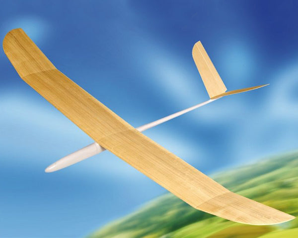 Hand launch on sale rc glider