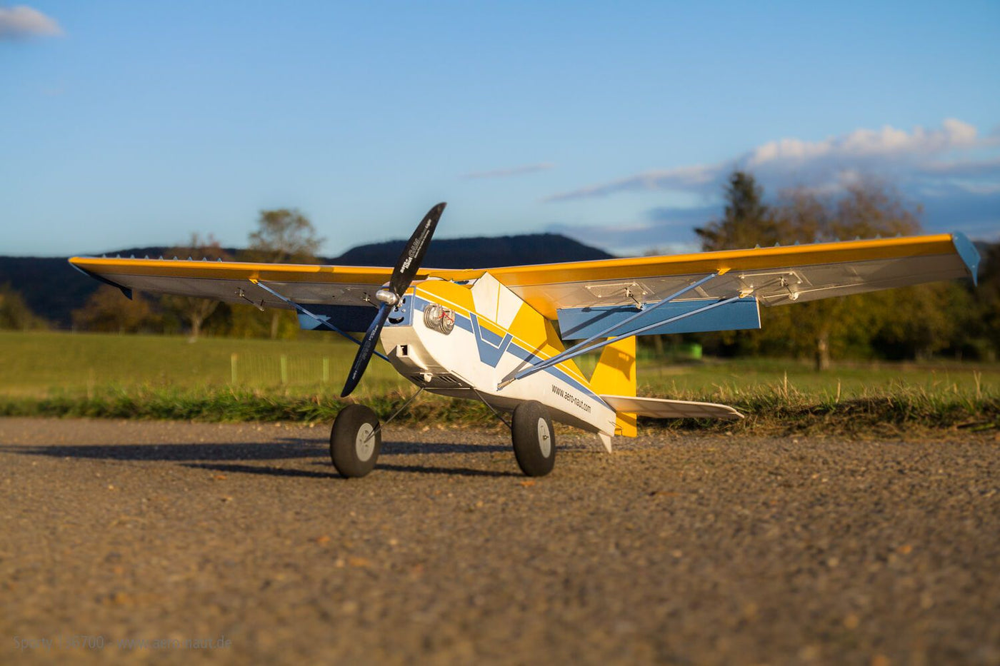 Sporty by Aeronaut