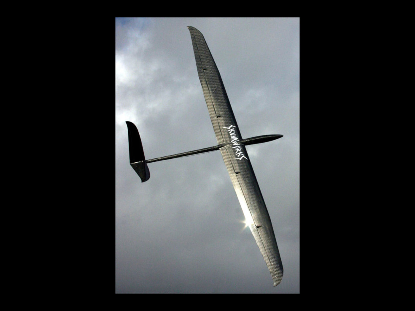 PCM Erwin - 2 Meter Slope Glider