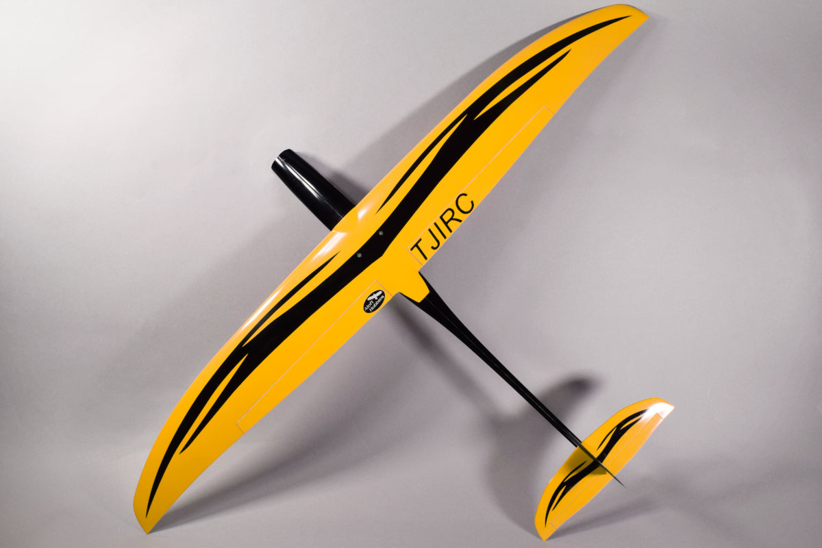 Pylon racer rc sales plane